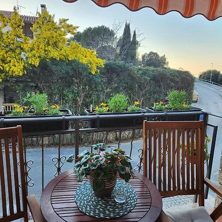 Adria Vrsar Apartment Екстериор снимка