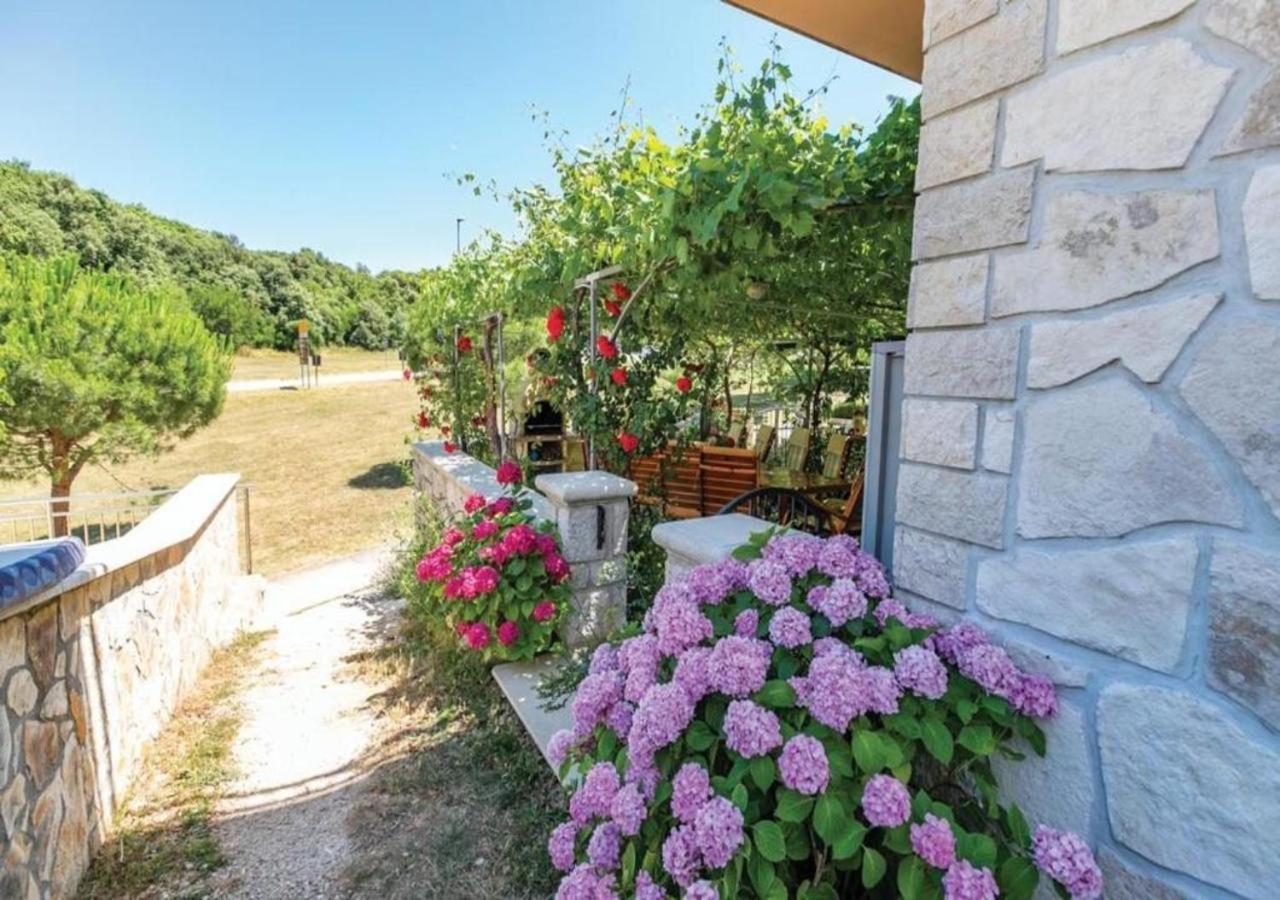 Adria Vrsar Apartment Екстериор снимка