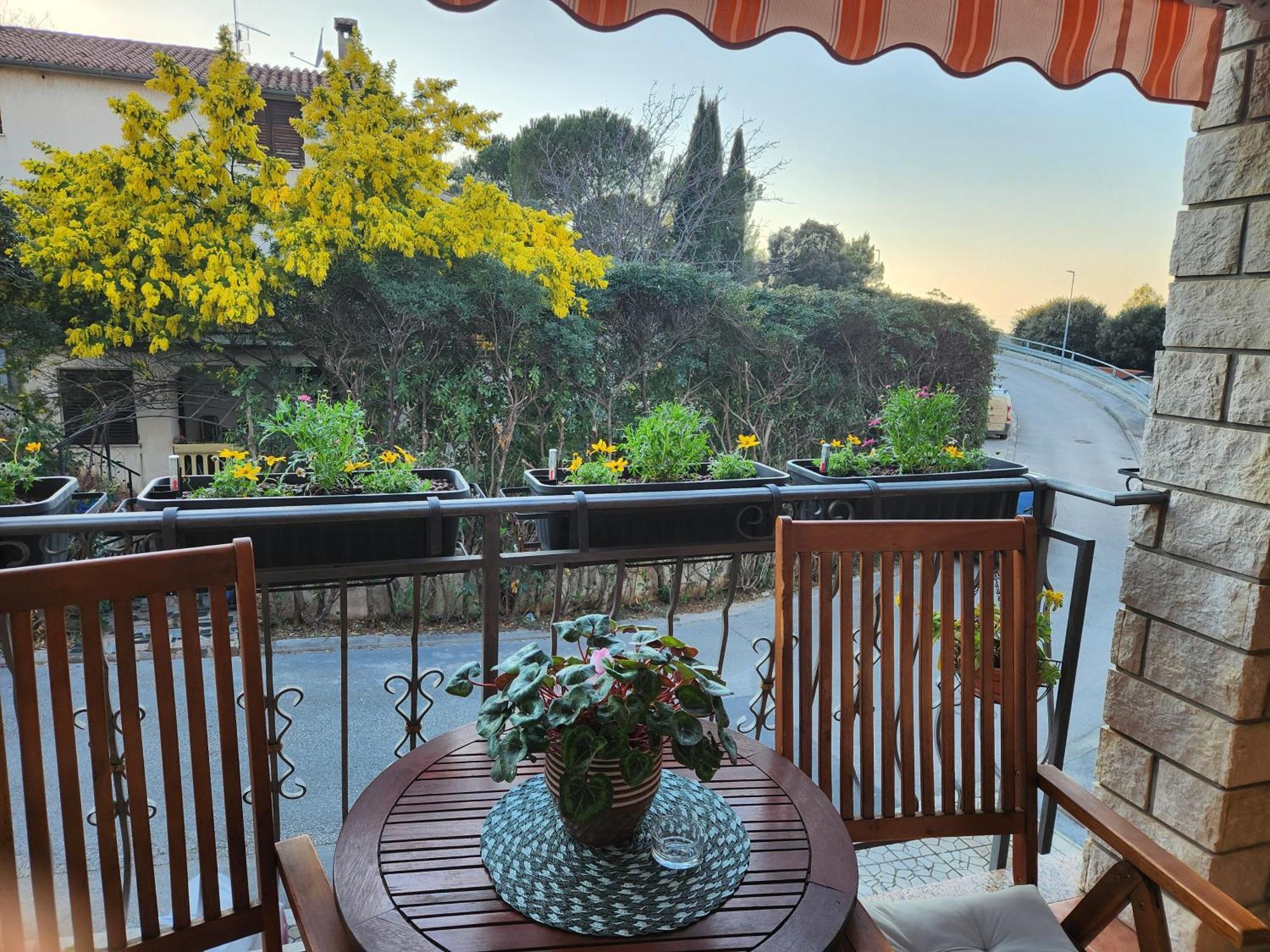 Adria Vrsar Apartment Екстериор снимка